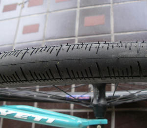 IMGP1312.jpg