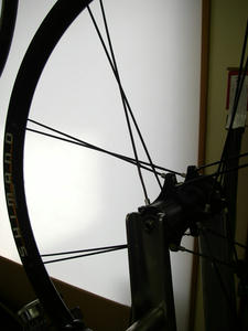 IMGP1686.jpg