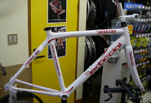 IMGP2179.jpg
