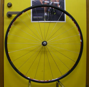 front1.jpg