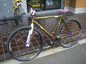 IMGP2762.jpg