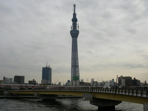 IMGP3155.jpg