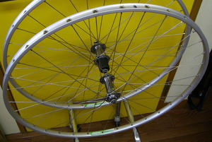 IMGP3187.JPG