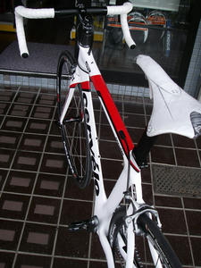 IMGP3520.jpg