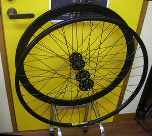 IMGP3803.jpg