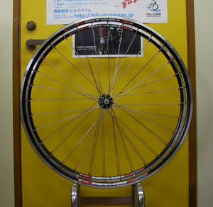 IMGP4664.jpg