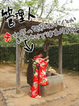DSCF3447.jpg
