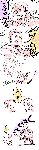 100814.gif