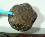 pinoh