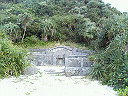 P1200104.JPG
