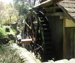 1047.jpg