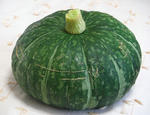 28c818d4.jpg