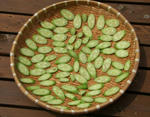 1264.jpg