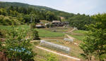 2010.jpg