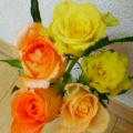 P251iS13314-1.jpg