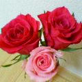 P251iS06410-1.jpg