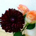 P251iS06665-9.jpg
