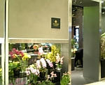 FLORIST