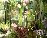 FLORIST