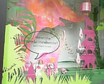 show window