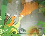 show window