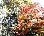 山頂