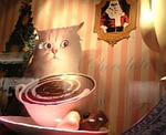 cat