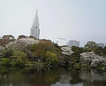 新宿御苑
