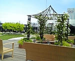 屋上庭園