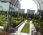 庭園