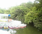 井の頭恩賜公園