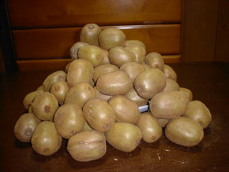 s-SANY0001.jpg