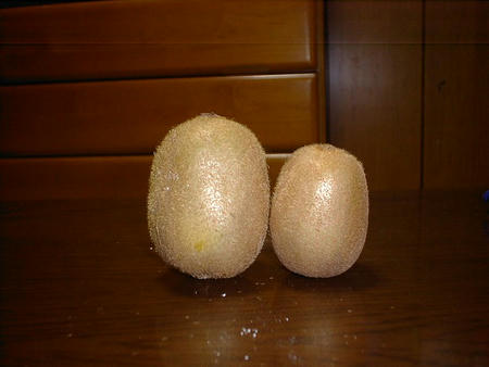 s-SANY0005.jpg