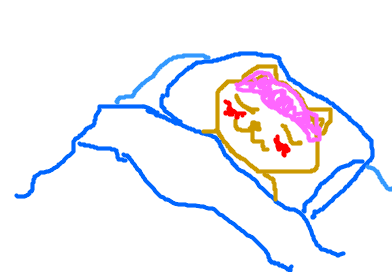 fimg_11204778511.png