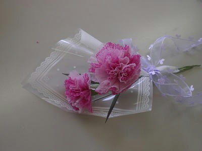 s-CIMG0490.jpg