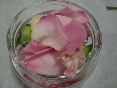 s-CIMG0850.jpg