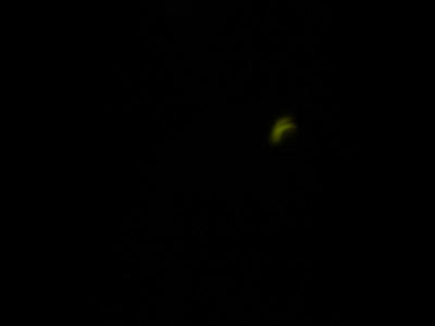 s-CIMG1043.jpg