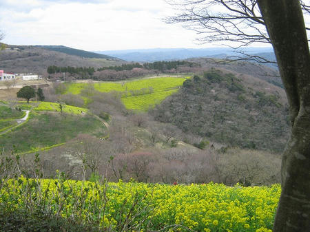 s-IMG_1591.jpg