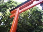 P1080535.JPG