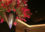 F1000008-s2.jpg