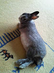 200906051650000.jpg