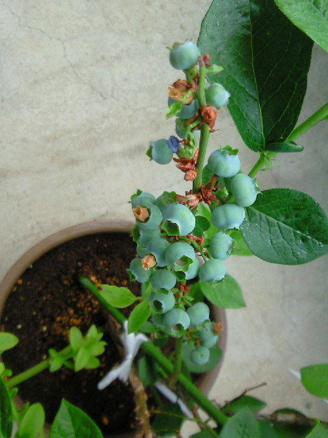 201206030835000.jpg