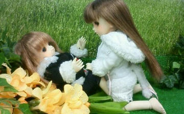 110506_10.jpg