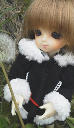 110507_6.jpg