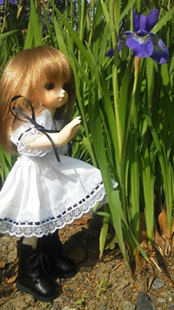 110522_2.jpg