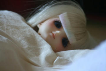 120724_8.JPG