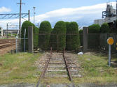 cbf14e10.JPG