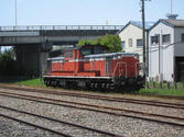 50cf093a.JPG