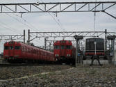67501.jpg