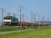 87dbd590.JPG